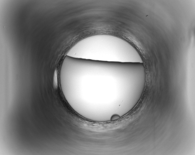 X0000096420022200801241012