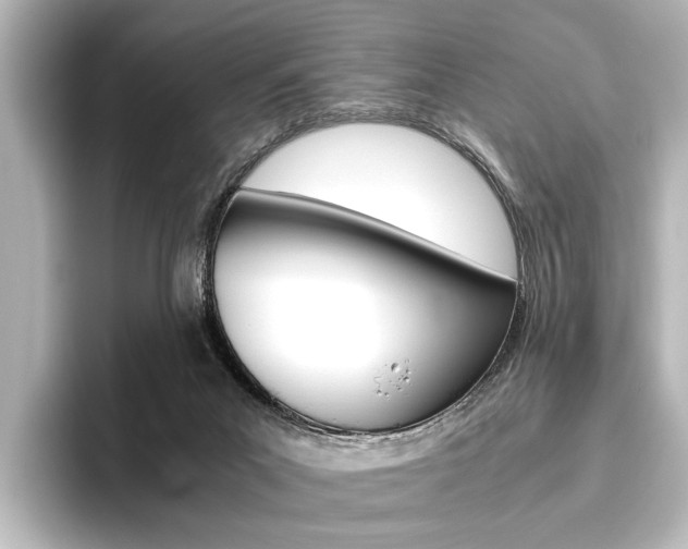 X0000096420023200801241012