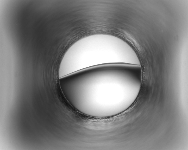 X0000096420025200801241012