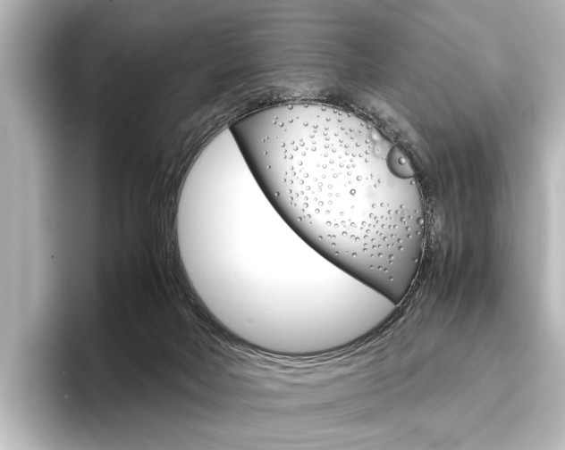 X0000096420026200801241012
