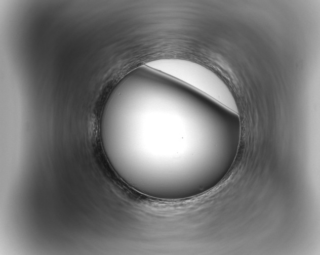 X0000096420029200801241012