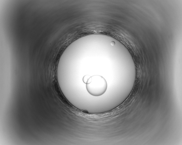 X0000096420030200801241012