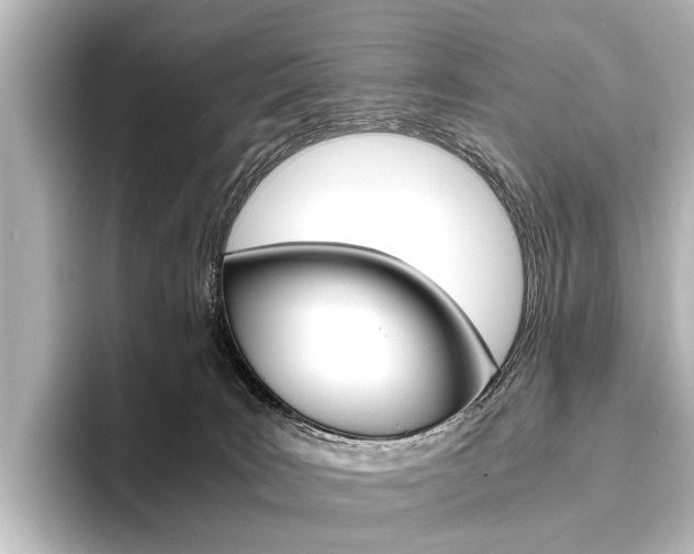 X0000096420035200801241012