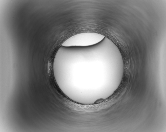 X0000096420038200801241012