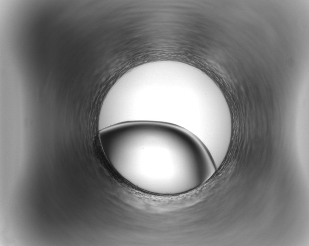 X0000096420039200801241012