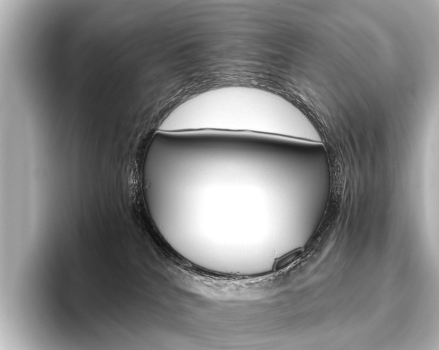 X0000096420040200801241012