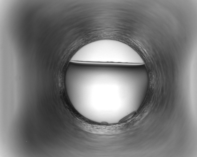 X0000096420044200801241012