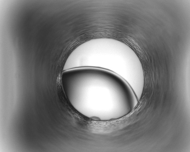 X0000096420045200801241012