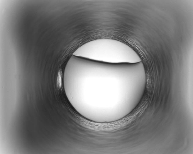 X0000096420046200801241012