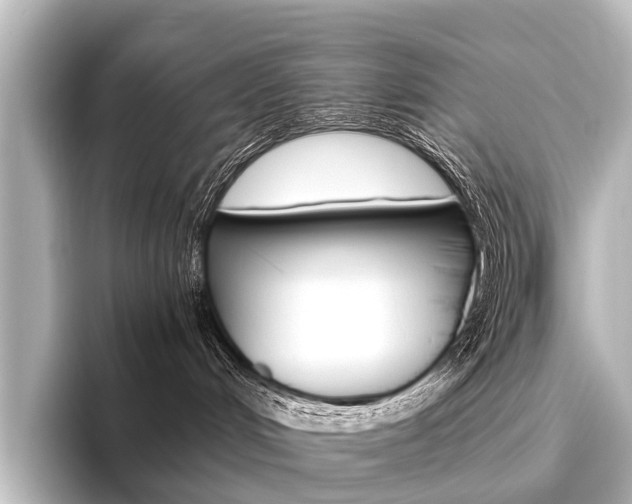 X0000096420048200801241012
