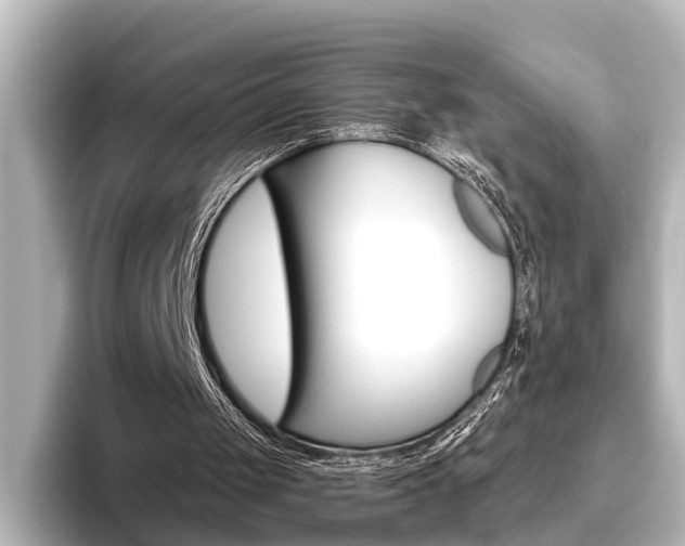 X0000096420049200801241011