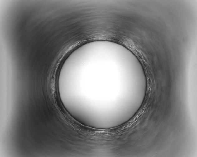 X0000096420050200801241011
