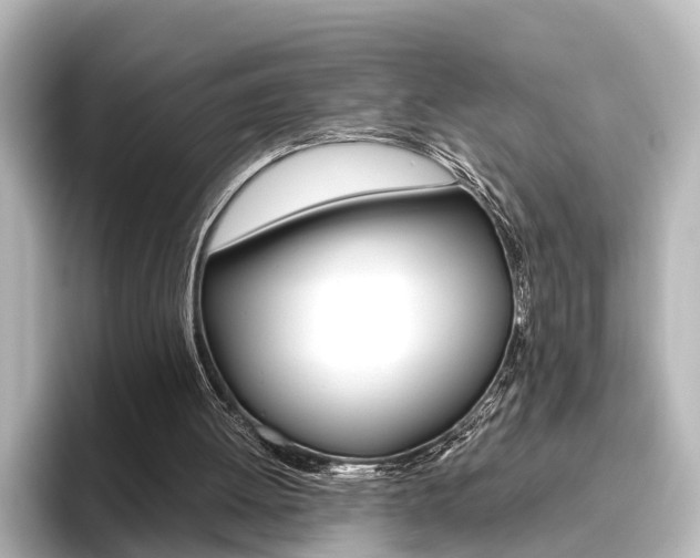 X0000096420052200801241011