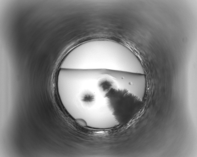 X0000096420053200801241011