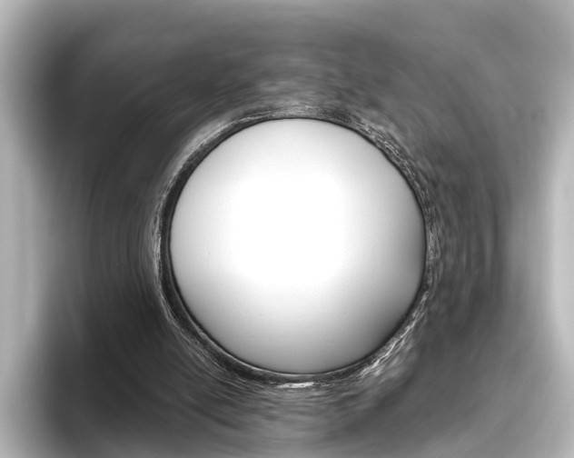 X0000096420054200801241011