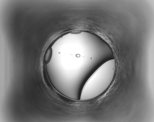 X0000096420055200801241011