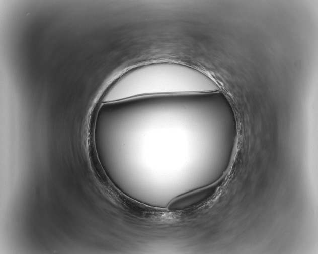 X0000096420056200801241011
