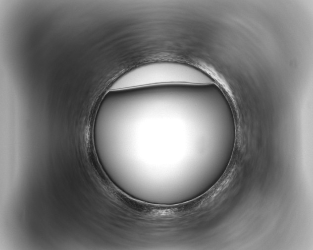 X0000096420057200801241011
