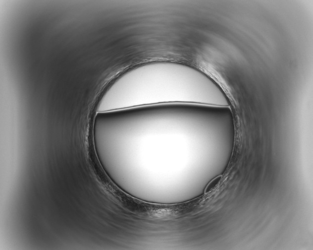 X0000096420058200801241011