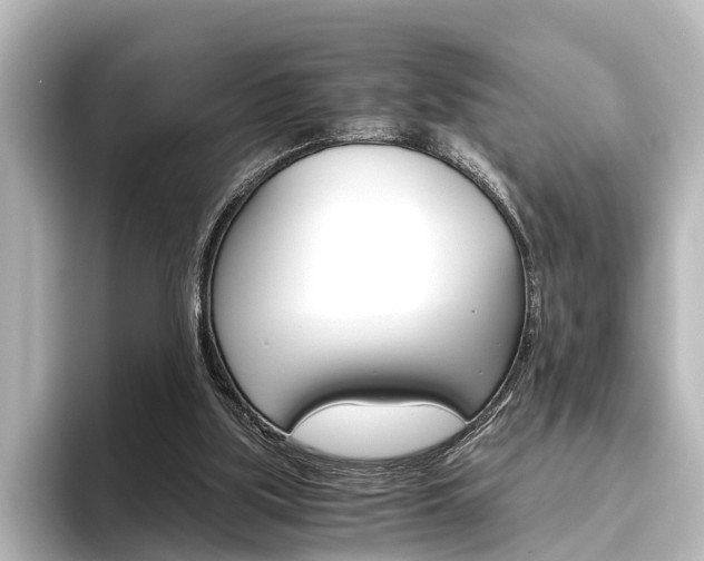 X0000096420059200801241011
