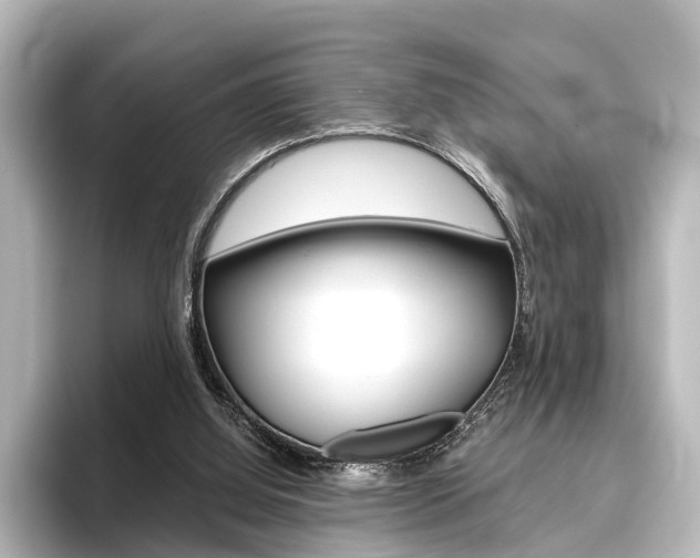 X0000096420060200801241012