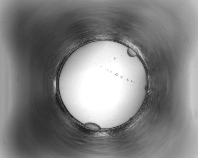 X0000096420061200801241012
