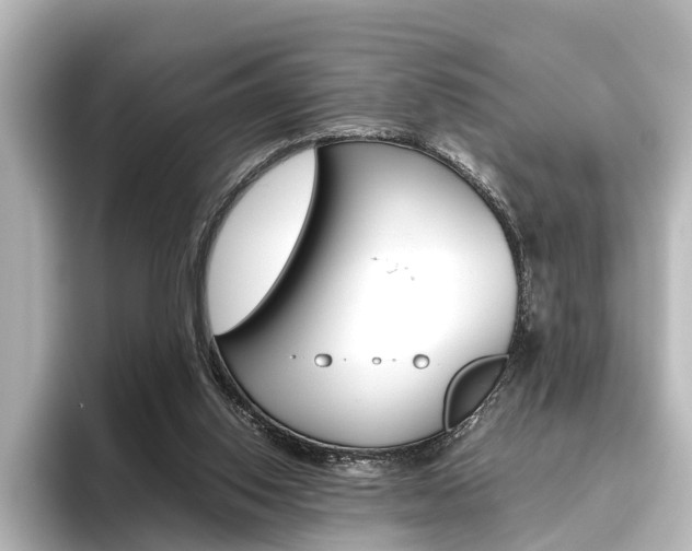 X0000096420062200801241012