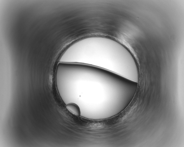 X0000096420063200801241012