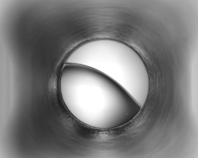 X0000096420064200801241012