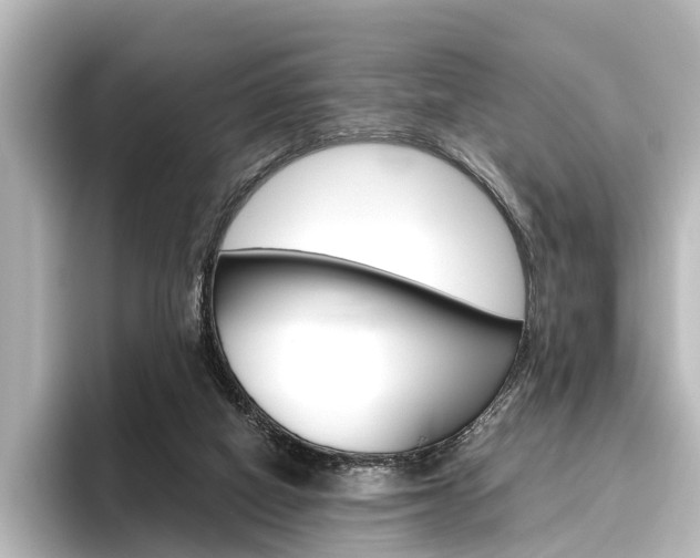 X0000096420066200801241012