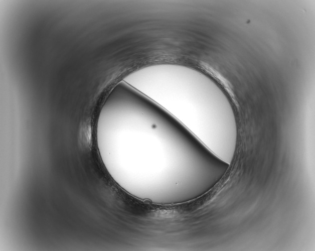 X0000096420067200801241012