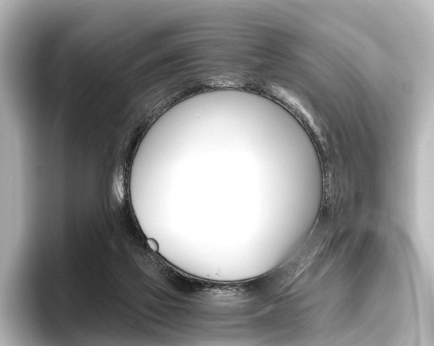X0000096420069200801241012
