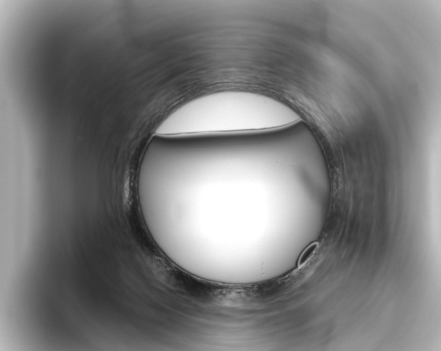 X0000096420074200801241012