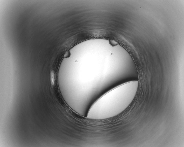 X0000096420075200801241012