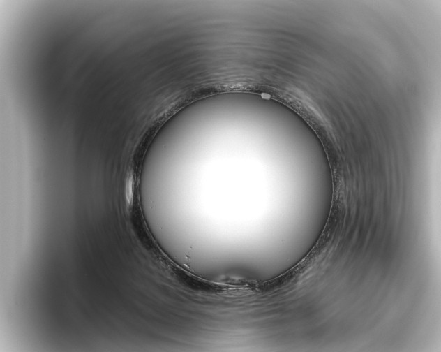 X0000096420076200801241012