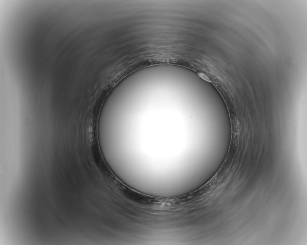 X0000096420080200801241012