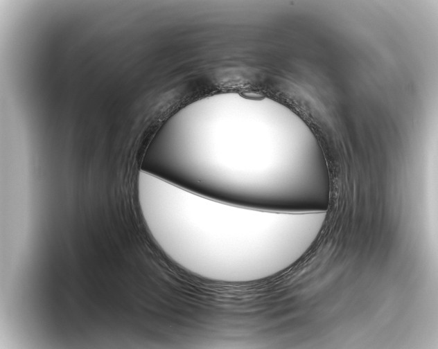 X0000096420081200801241012