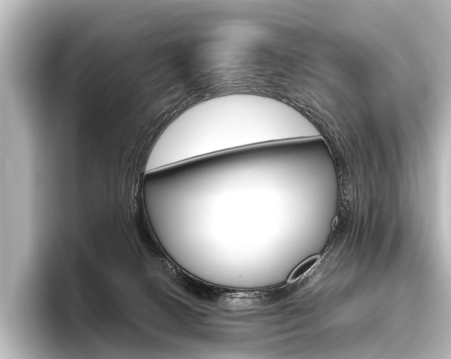 X0000096420082200801241012