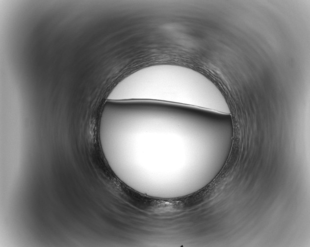X0000096420083200801241012