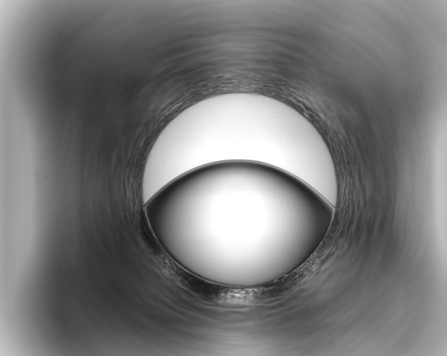 X0000096420084200801241012