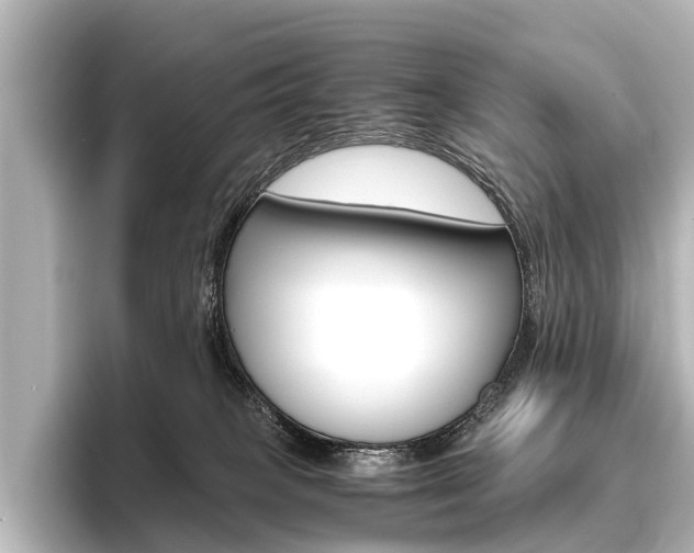 X0000096420085200801241012