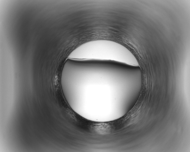 X0000096420087200801241012