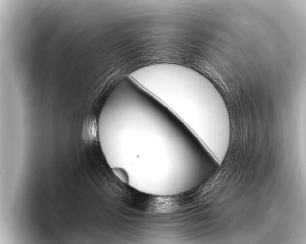 X0000096420095200801241012