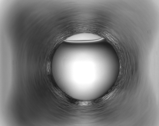 X0000096420096200801241012