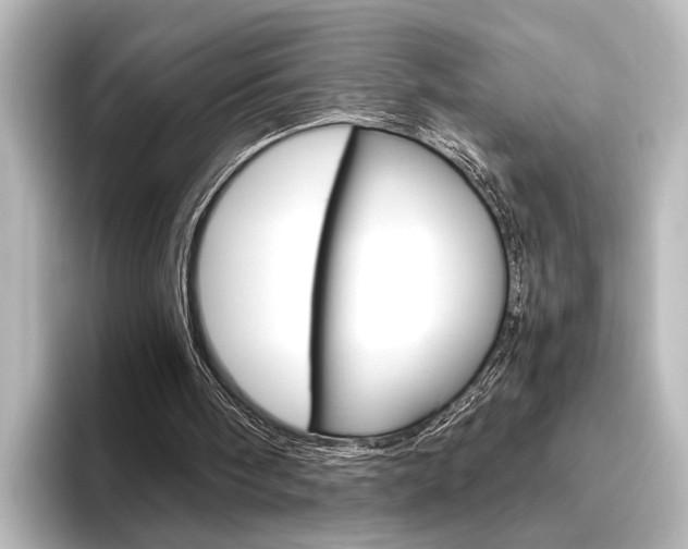 X0000096420098200801241011
