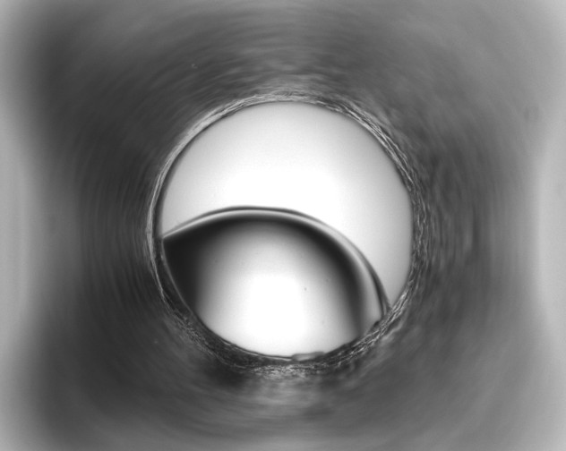 X0000096420100200801241011