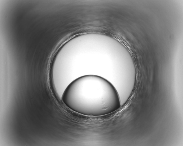 X0000096420101200801241011
