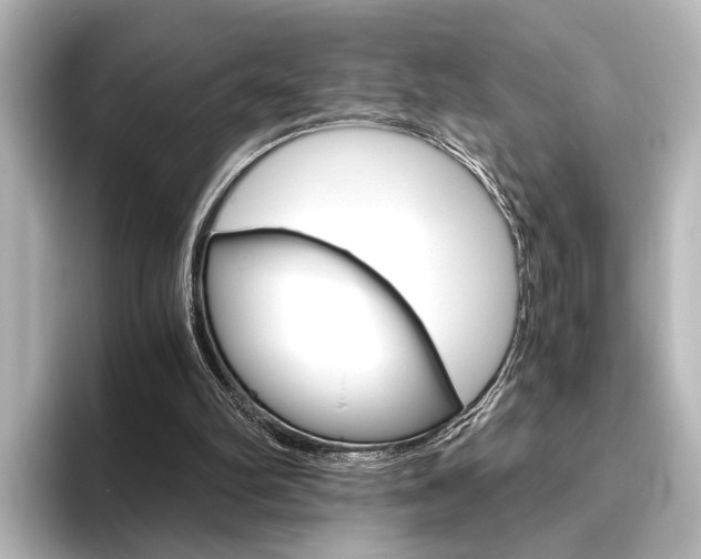 X0000096420102200801241011