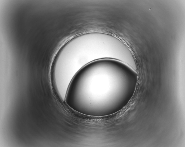 X0000096420104200801241011