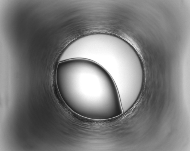 X0000096420105200801241011